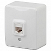 Розетка Ethernet RJ-45 Эра Эра Эксперт 11-3203-01 100_100_2400291