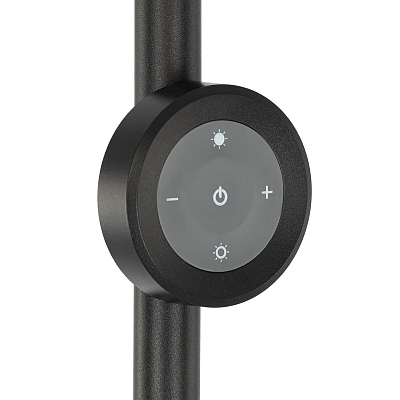 Торшер Citilux LOONG CL810031 400_400_3099504