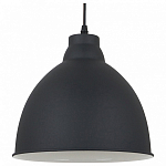 Подвесной светильник Arte Lamp Braccio A2055SP-1BK 250_100_Array