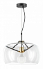 Подвесной светильник Lightstar Acquario 752010 100_100_1712002