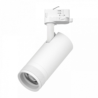 Светильник на штанге Lightstar Canno Pro C4206QT 400_400_3099441