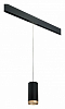 Подвесной светильник Lightstar Rullo PRORP648790 100_100_2460467
