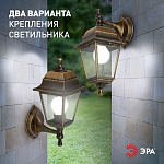 Светильник на штанге Эра  НБУ 04-60-001 бронза 250_100_3080743