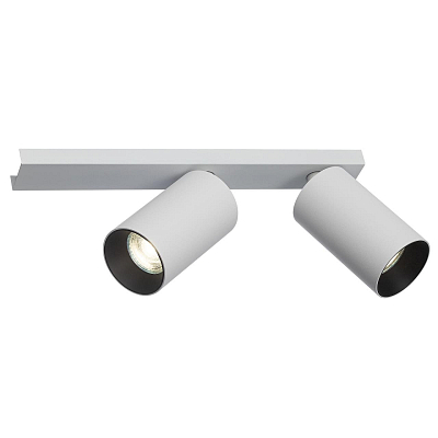 Спот Citilux AXEL CL512520 400_400_3076053