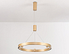 Подвесной светильник Ambrella Light FL FL5846 100_100_2016336