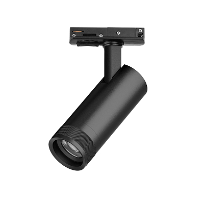 Светильник на штанге Lightstar Canno Pro C4127SS 400_400_3092486