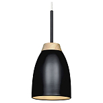 Подвесной светильник Loft it Watchman LOFT4402A-BL 250_100_Array