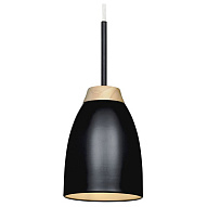 Подвесной светильник Loft it Watchman LOFT4402A-BL 500_191_2461312
