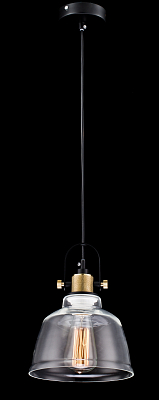Подвесной светильник Maytoni T163-11-W 400_400_858308