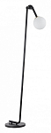 Торшер Lumion Dexter 6500/1F 250_100_1863745