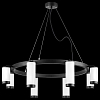 Подвесная люстра Lightstar Rullo LR01886436440 100_100_1718589