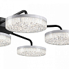 Потолочная люстра Lumion Didana 8236/7CL 100_100_1866797