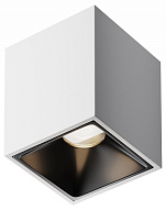 Накладной светильник Maytoni Technical Alfa LED C065CL-8W4K-SQ-WB 500_191_3234842