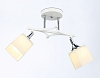 Светильник на штанге Ambrella Light TR TR303062 100_100_2017772