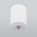 Подвесной светильник Elektrostandard DLS028 a047769 250_100_583876