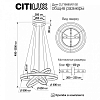 Подвесной светильник Citilux Дуэт CL719682 100_100_1691837