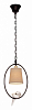 Подвесной светильник Loft it Birds LOFT1029A-1 100_100_1844745
