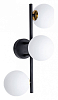 Бра Arte Lamp Gemini A2243PL-3BK 100_100_1826042