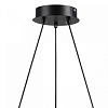 Подвесная люстра Lumion Ilmina 8237/9 100_100_1866806