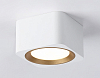 Накладной светильник Ambrella Light TN TN70831 100_100_2019341