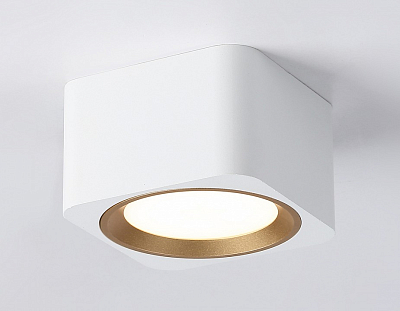 Накладной светильник Ambrella Light TN TN70831 400_400_2019341