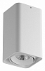 Накладной светильник Lightstar Monocco 052136 100_100_2448223
