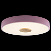 Накладной светильник Loft it Axel 2 10003/24 Pink 100_100_3154276