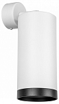 Спот Lightstar Rullo RB64863487 250_100_1722094