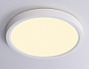 Накладной светильник Ambrella Light FZ FZ1901 100_100_2027838