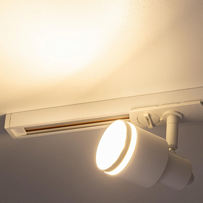 Светильник на штанге Citilux Bruno CL565T10 400_400_3147893