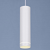 Подвесной светильник Elektrostandard Topper a037525 100_100_2456751
