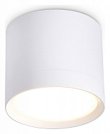 Накладной светильник Ambrella Light TN TN5350 500_191_2442359