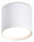 Накладной светильник Ambrella Light TN TN5350
