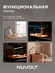 Настольный светильник NUVOLT LTBL-002B 250_100_2885641