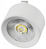Плафон металлический Lightstar Alta Pro 215536 100_100_2169543