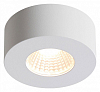 Накладной светильник Odeon Light Bene 4282/7CL 100_100_1725048