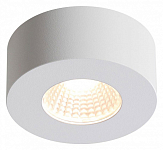 Накладной светильник Odeon Light Bene 4282/7CL 250_100_1725048