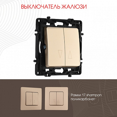 Выключатель для жалюзи без рамки Arte Milano 217 217.38-2.shampan 400_400_2167713