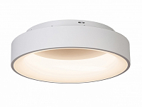 Накладной светильник MyFar Shannon MR2194-1PL 250_100_3156358
