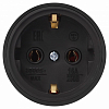 Розетка с заземлением Эра  RX11-B-IP44 100_100_2405943
