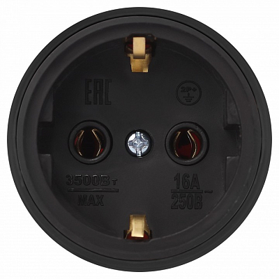 Розетка с заземлением Эра  RX11-B-IP44 400_400_2405943
