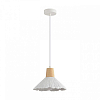 Подвесной светильник Lumion EOLIANA 8352/1A 100_100_2173253