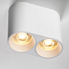 Накладной светильник Lightstar Rullo 213466 100_100_3155472