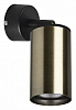 Спот Lightstar Rullo RB431 100_100_1716182