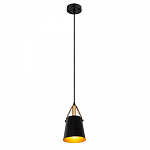 Подвесной светильник Arte Lamp Thomas A7032SP-1BK 250_100_1823963