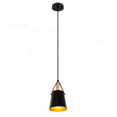 Подвесной светильник Arte Lamp Thomas A7032SP-1BK 400_400_1823963