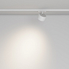 Светильник на штанге Maytoni Technical  TR225-1-GX53-W 100_100_2767862