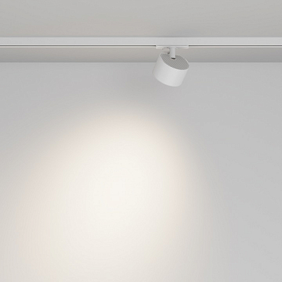 Светильник на штанге Maytoni Technical  TR225-1-GX53-W 400_400_2767862