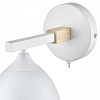 Бра Lumion Colange 8095/1W 100_100_1864915