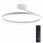 Светильник на штанге Natali Kovaltseva FINAM LED LAMPS 81121/1C 250_100_1885390